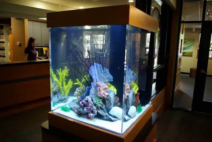 Blue Planet Aquarium Services Picture 5