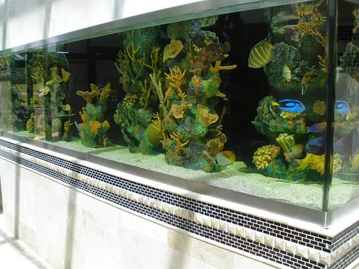 Blue Planet Aquarium Services Picture 8