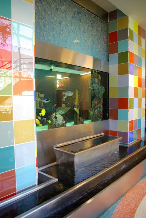 Blue Planet Aquarium Services Picture 4