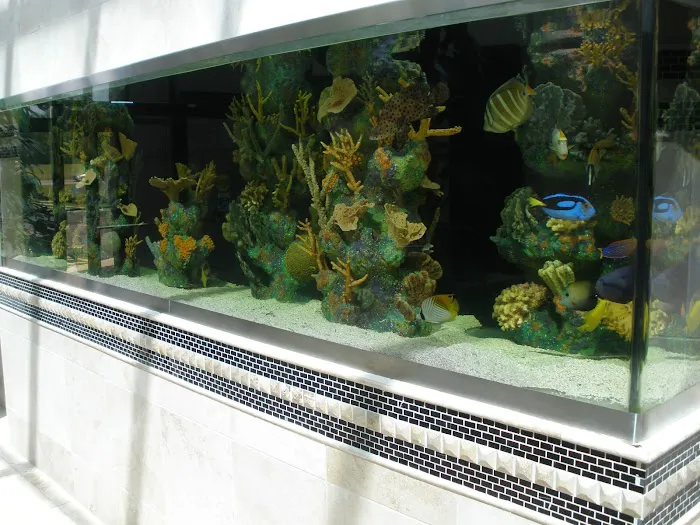 Blue Planet Aquarium Services Picture 3