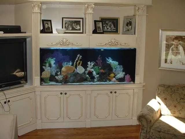 Blue Planet Aquarium Services Picture 6