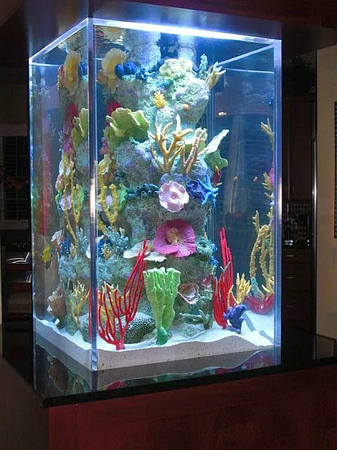 Blue Planet Aquarium Services Picture 2