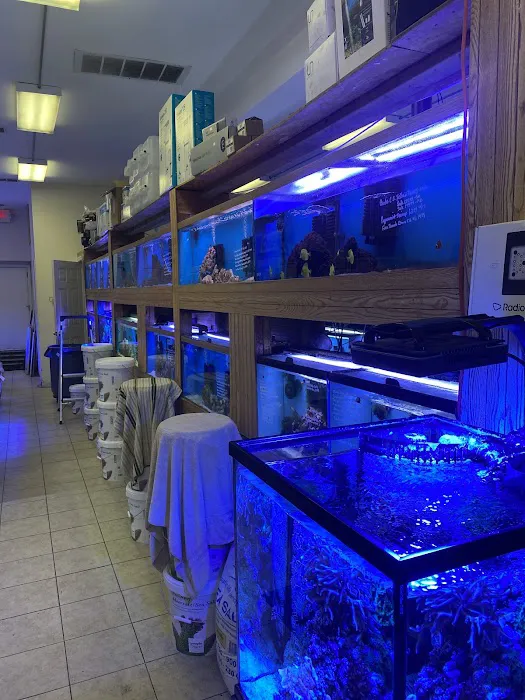 Ocean Design Aquarium Picture 4