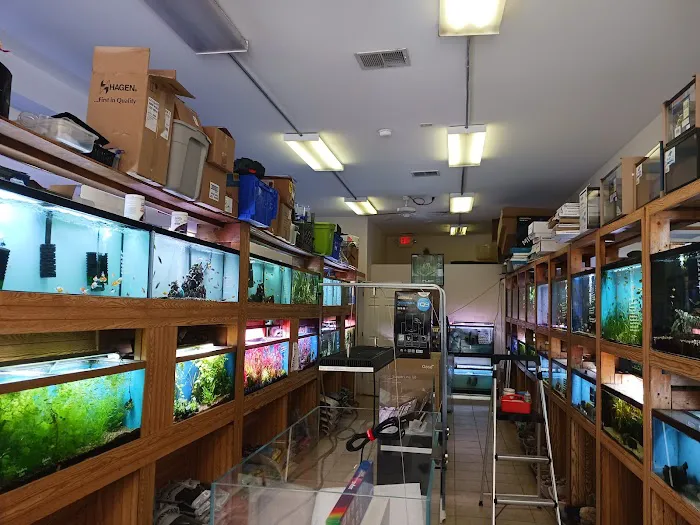 Ocean Design Aquarium Picture 5