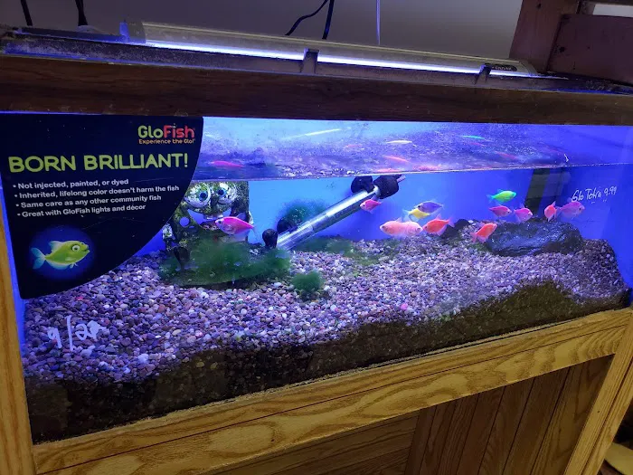 Ocean Design Aquarium Picture 6