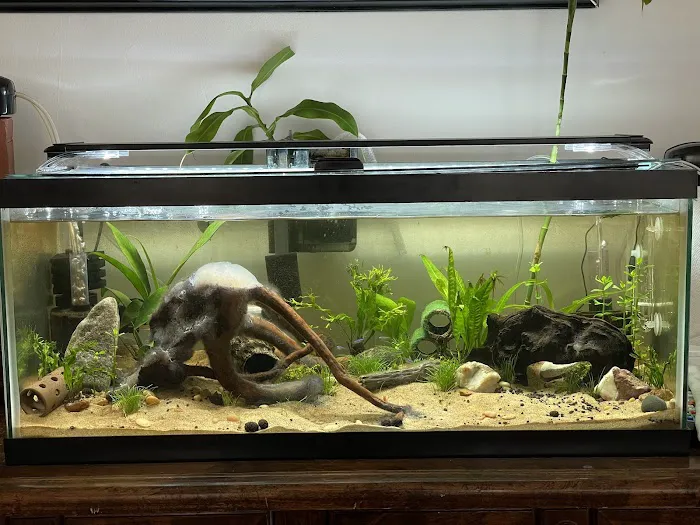Ocean Design Aquarium Picture 8