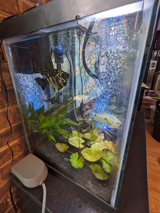 Ocean Design Aquarium Picture 7