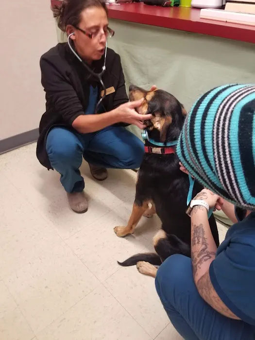 Redding Veterinary Hospital Picture 2