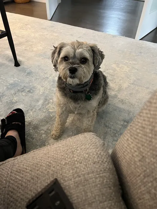 Redding Veterinary Hospital Picture 3