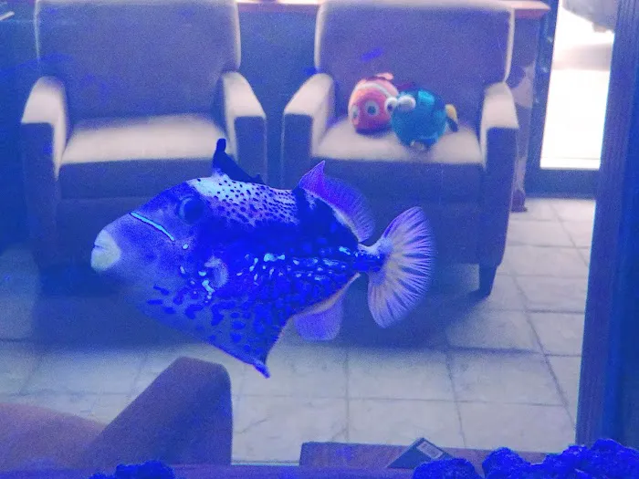 Aquatic World Picture 3