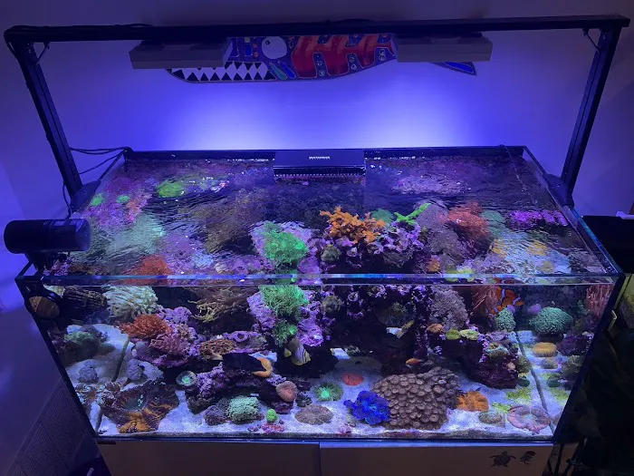 Aquatic World Picture 6