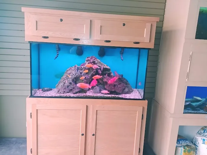 Aquatic World Picture 5