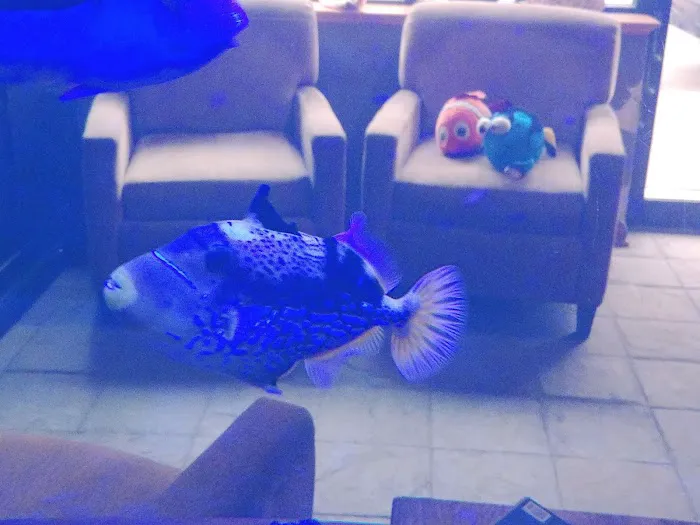 Aquatic World Picture 2