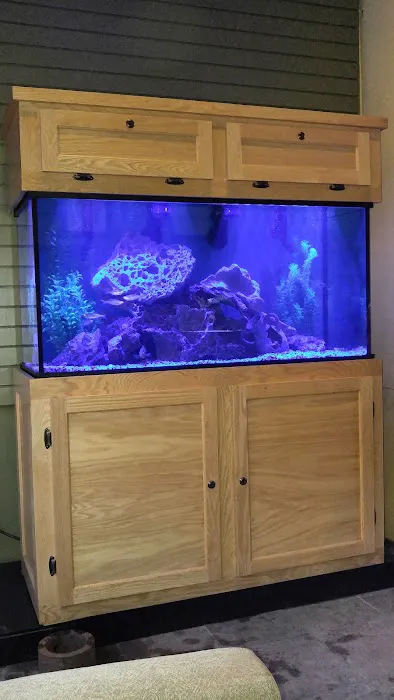 Aquatic World Picture 4