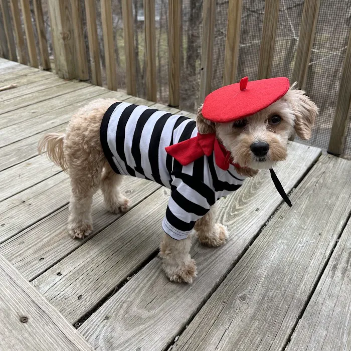 Ridgefield Veterinary Center Picture 3