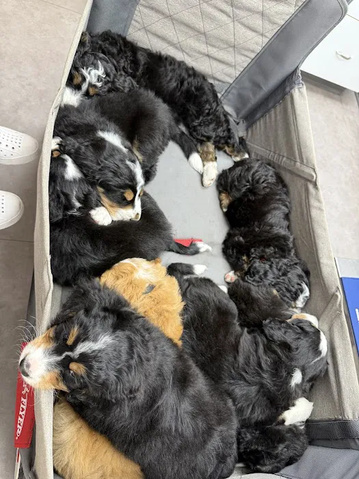 Ridgefield Veterinary Center Picture 8