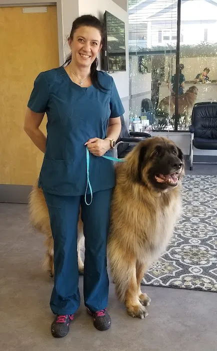 Ridgefield Veterinary Center Picture 10