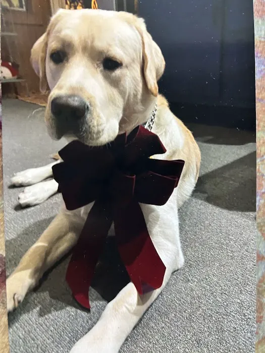 Ridgefield Veterinary Center Picture 9