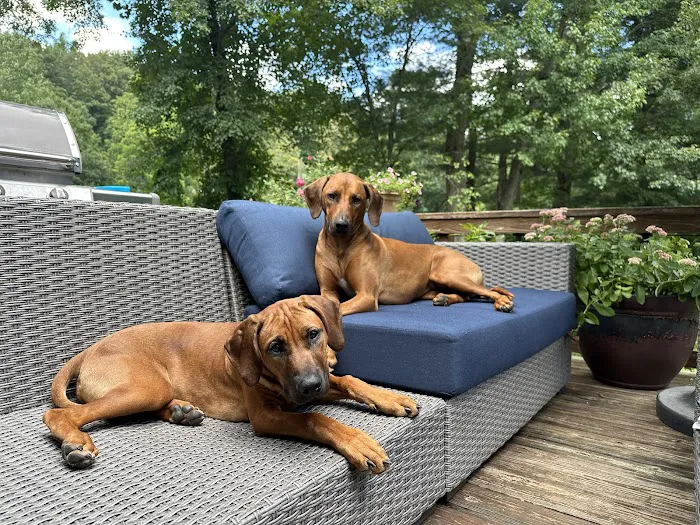 Ridgefield Veterinary Center Picture 7