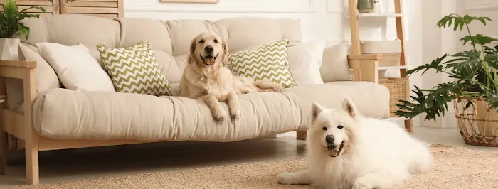 Greenly Paws Picture 3