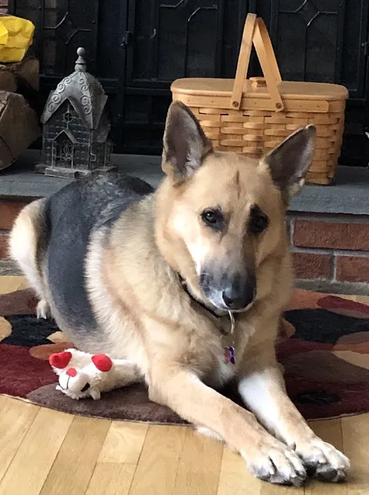 Somers Animal Hospital Picture 1