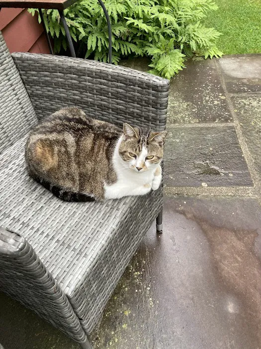 Somers Animal Hospital Picture 3