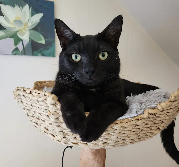 Somers Animal Hospital Picture 6