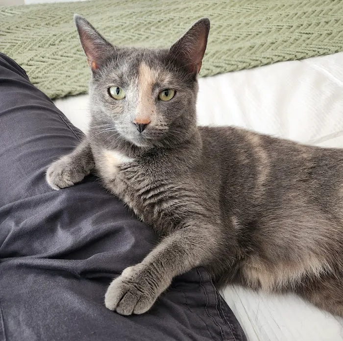 Somers Animal Hospital Picture 8