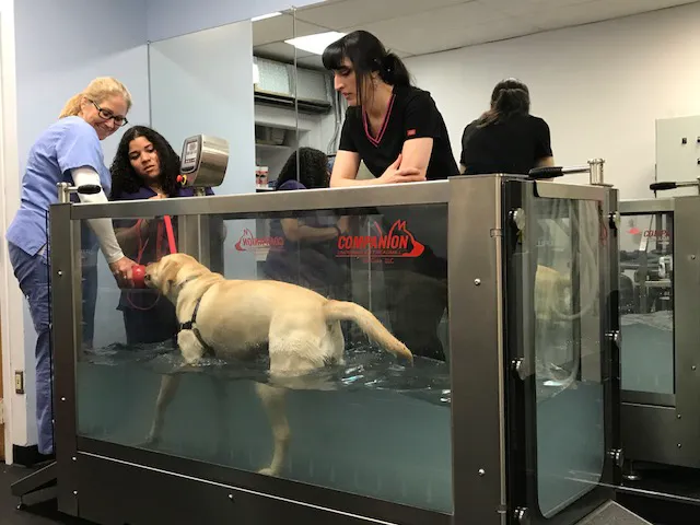 Somers Animal Hospital Picture 9