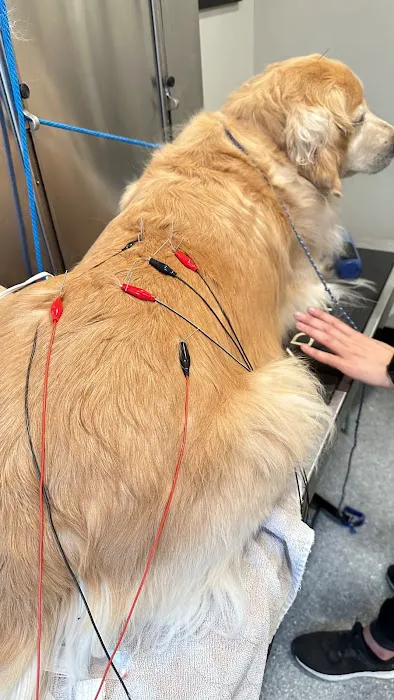 Progressive Animal Hospital Picture 3