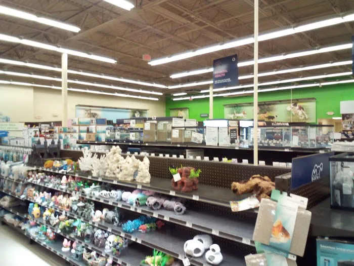 Petco Picture 2