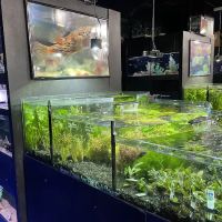 Aquarium Adventure ico