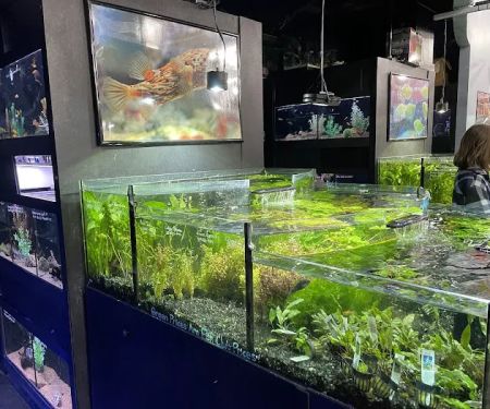 Aquarium Adventure