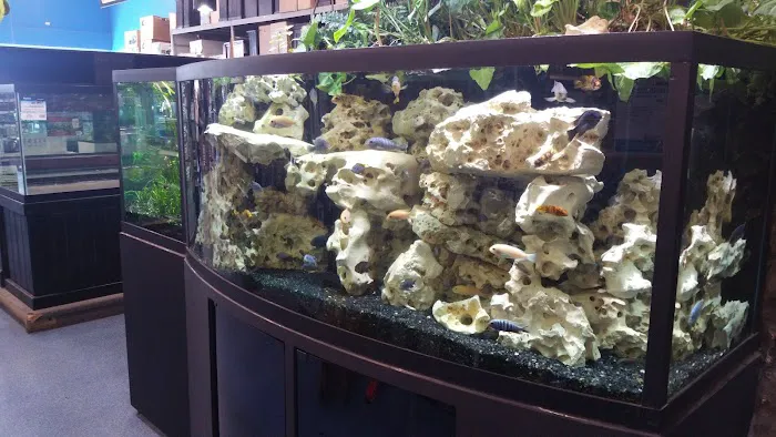 Aquarium Adventure Picture 5