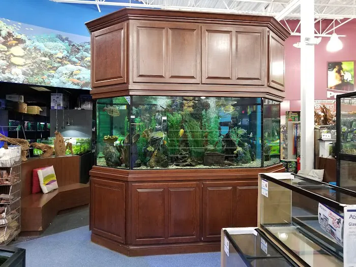 Aquarium Adventure Picture 4