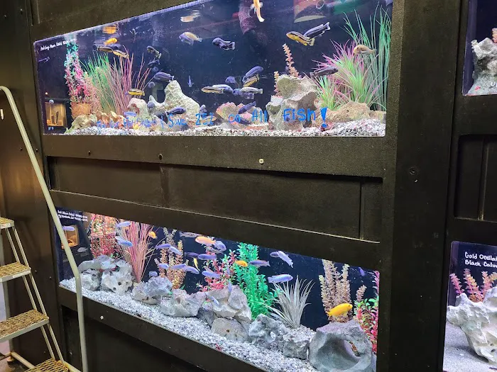 Aquarium Adventure Picture 3