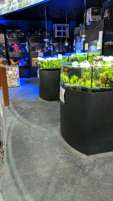 Aquarium Adventure Picture 6