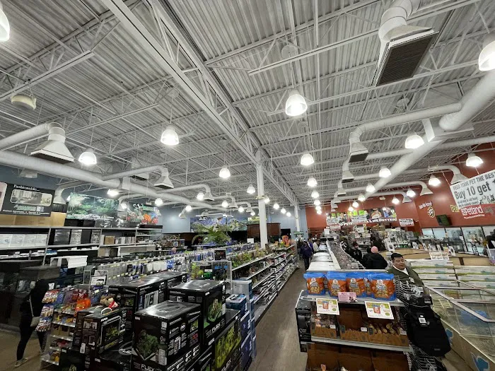 Aquarium Adventure Picture 2