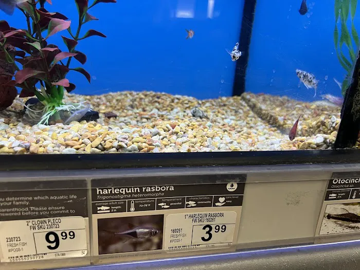 Aquarium Adventure Picture 9