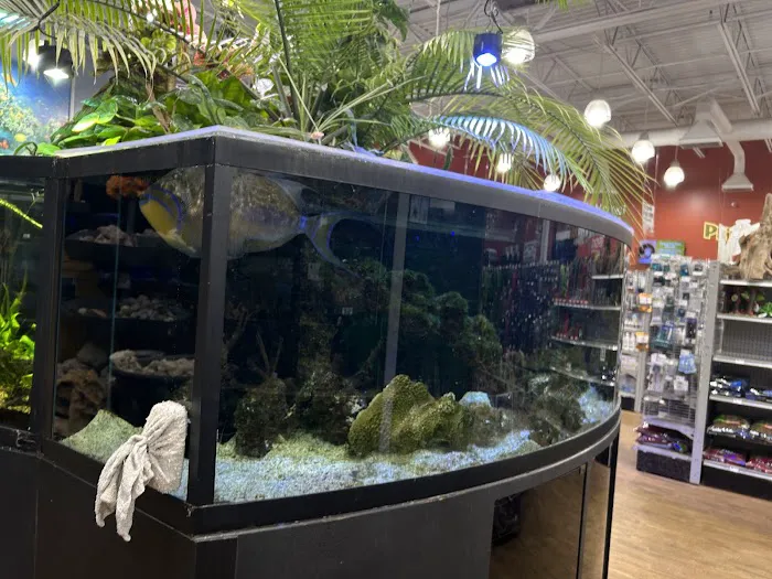 Aquarium Adventure Picture 10