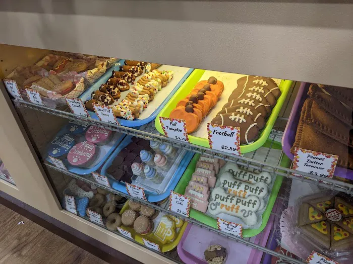 Aquarium Adventure Picture 7