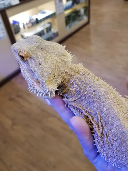 Aquarium Adventure Picture 8