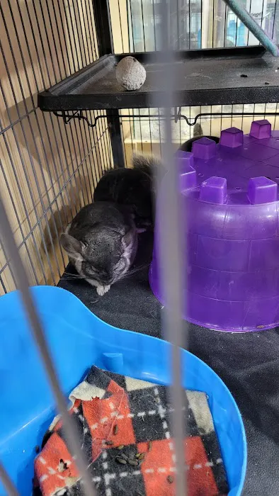 Petland Bolingbrook Picture 3