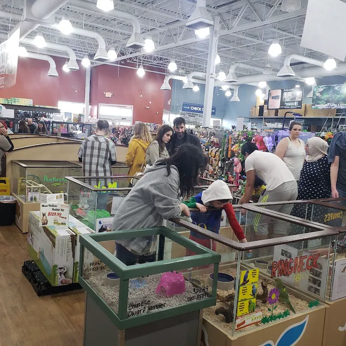 Petland Bolingbrook Picture 4