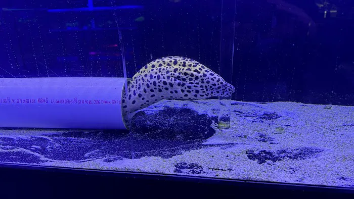 Reefwise Picture 3