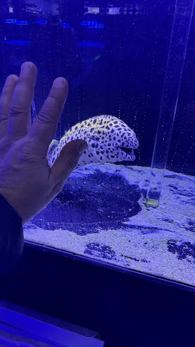 Reefwise Picture 2