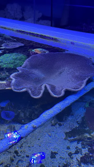 Reefwise Picture 1