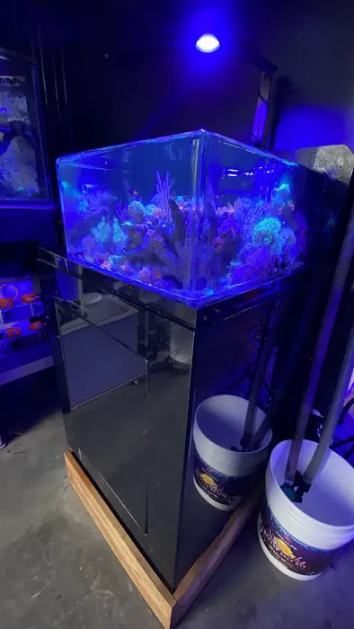 Reefwise Picture 5