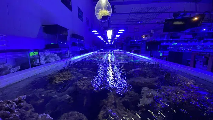 Reefwise Picture 7