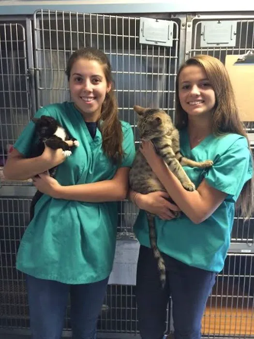 Westport Animal Hospital Picture 8